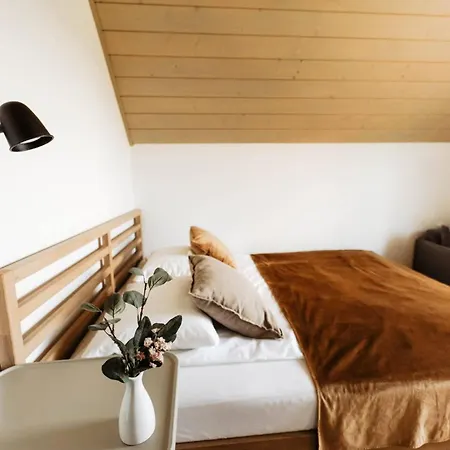 Holiday home Pod Szarowym Lasem