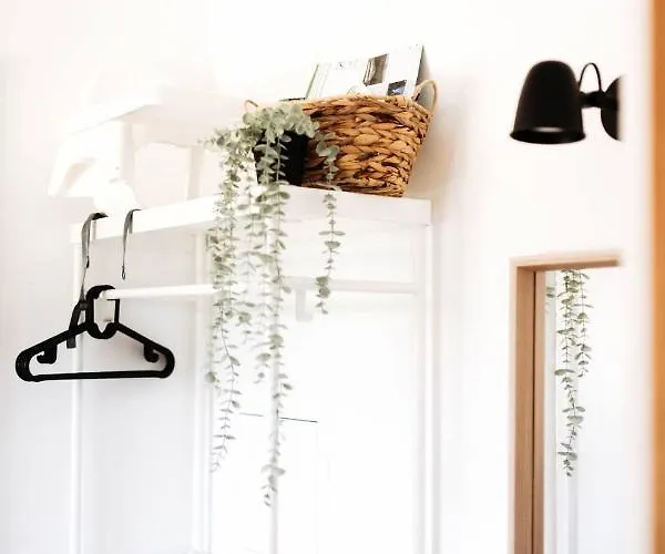 Pod Szarowym Lasem Visla